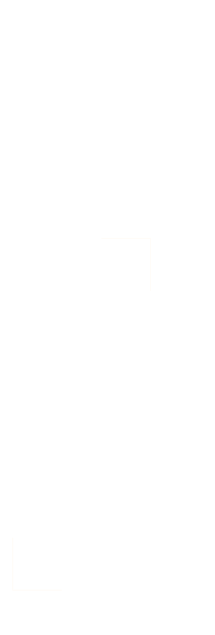 おひとりサマご飯も歓迎ですよ