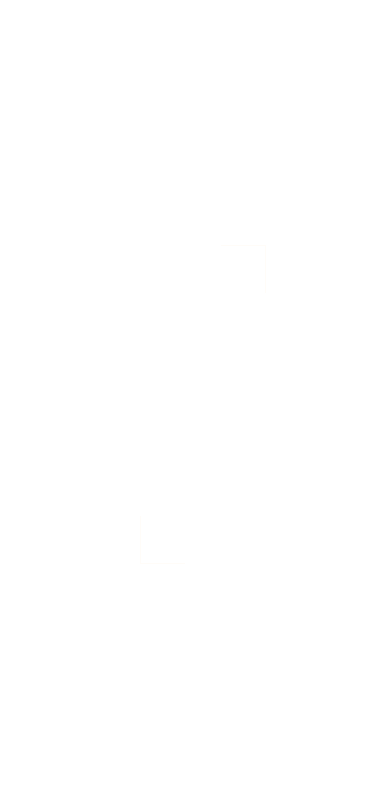 おひとりサマご飯も歓迎ですよ